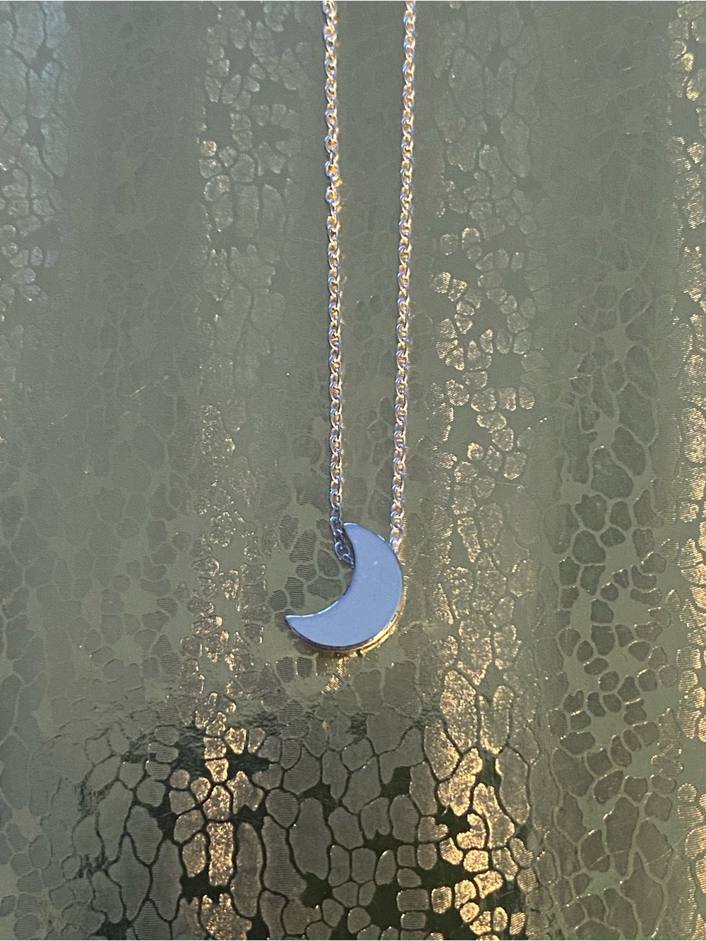 NWT Shiny Silver Crescent Moon Necklace